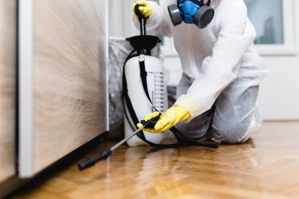 Pest Prevention Services in Fresno, CA