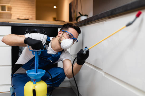 Best Affordable Pest Control Services  in Fresno, CA