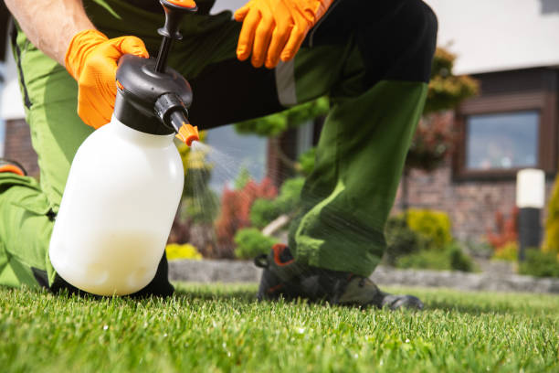 Best Residential Pest Control  in Fresno, CA