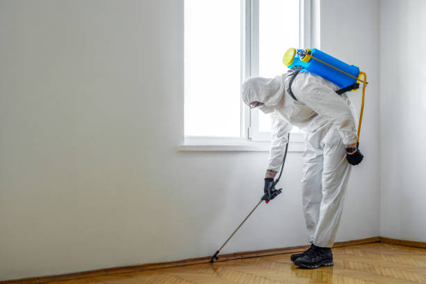 Best Best Pest Control Companies  in Fresno, CA