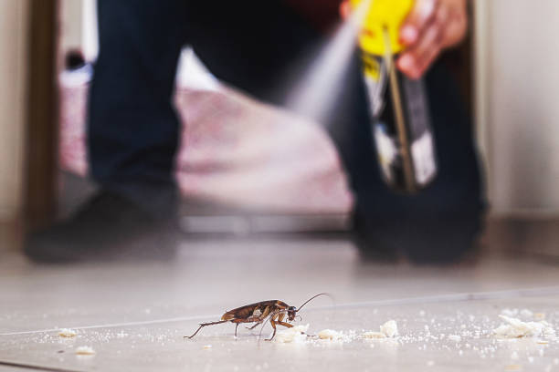 Best Cockroach Control Services  in Fresno, CA